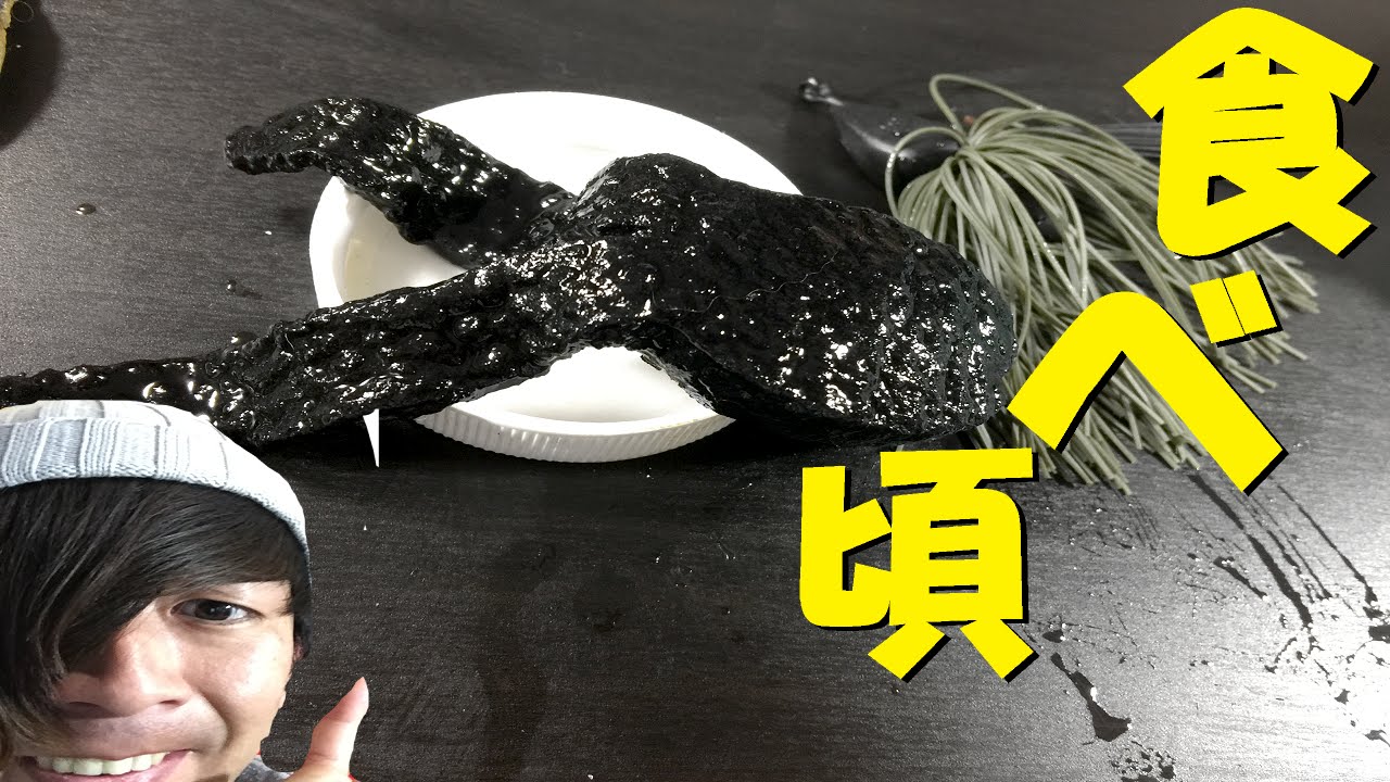 バス釣り ビックダディーポークルアーを柔らかくする 食べごろ１日目 Youtube