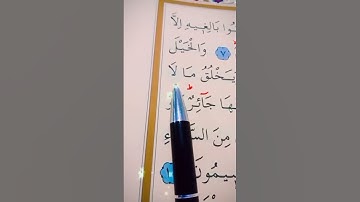 سورة النحل الأية 7 إلى 10 القارئ سعد الغامدي