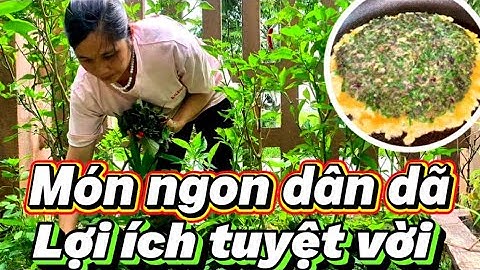 Trứng Chiên Lá Tía Tô Món Ngon Dân Dã Và Lợi Ích Tuyệt Vời Cho Sức khoẻ
