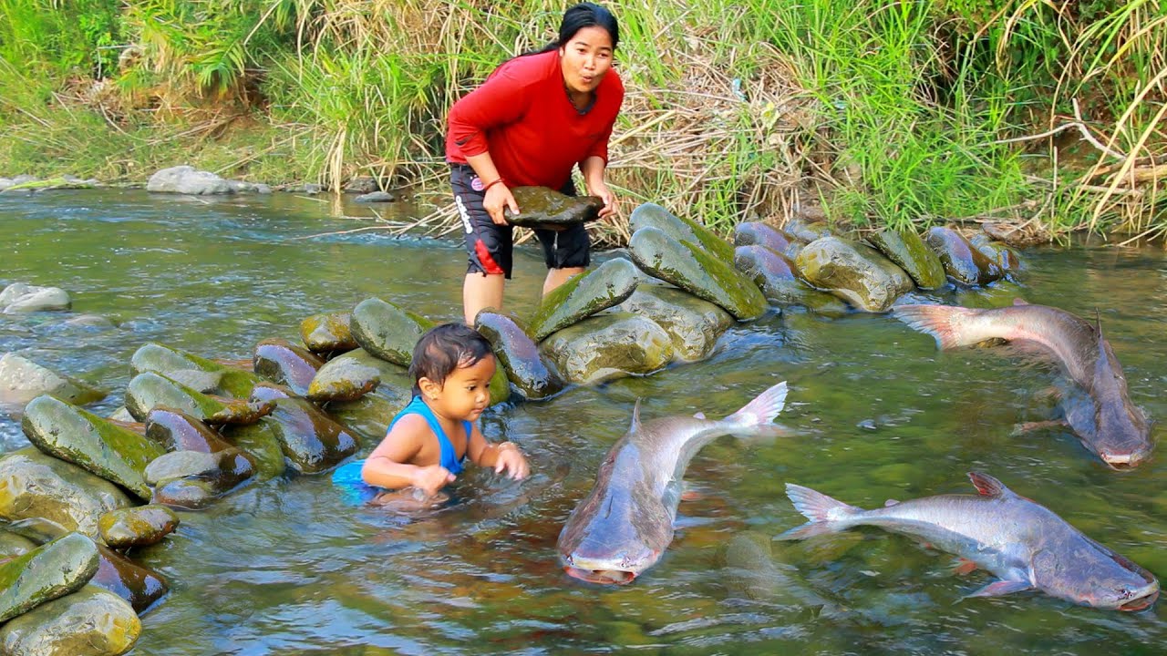 Women Build Fish Trap From Stone at river Catch fish at river - Roast ...