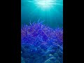 Sunday | 100% AI Generated: Sunday Reset Visuals #GenerativeAI #LoopVideo #Shorts | D54-2