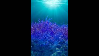 Sunday | 100% AI Generated: Sunday Reset Visuals #GenerativeAI #LoopVideo #Shorts | D54-2