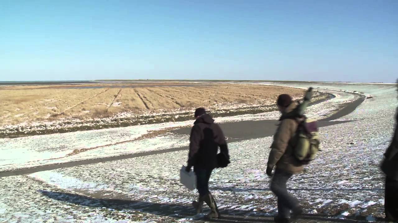 COMTESS - Sustainable coastal land management: Trade-offs in ecosystem services