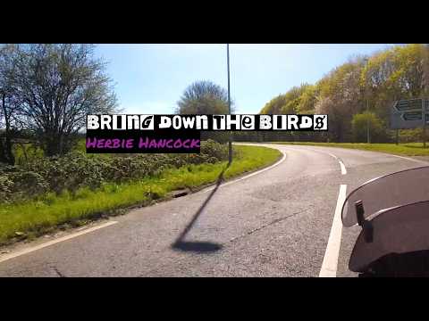 Single Track UK: Herbie Hancock - Bring Down The Birds - YouTube