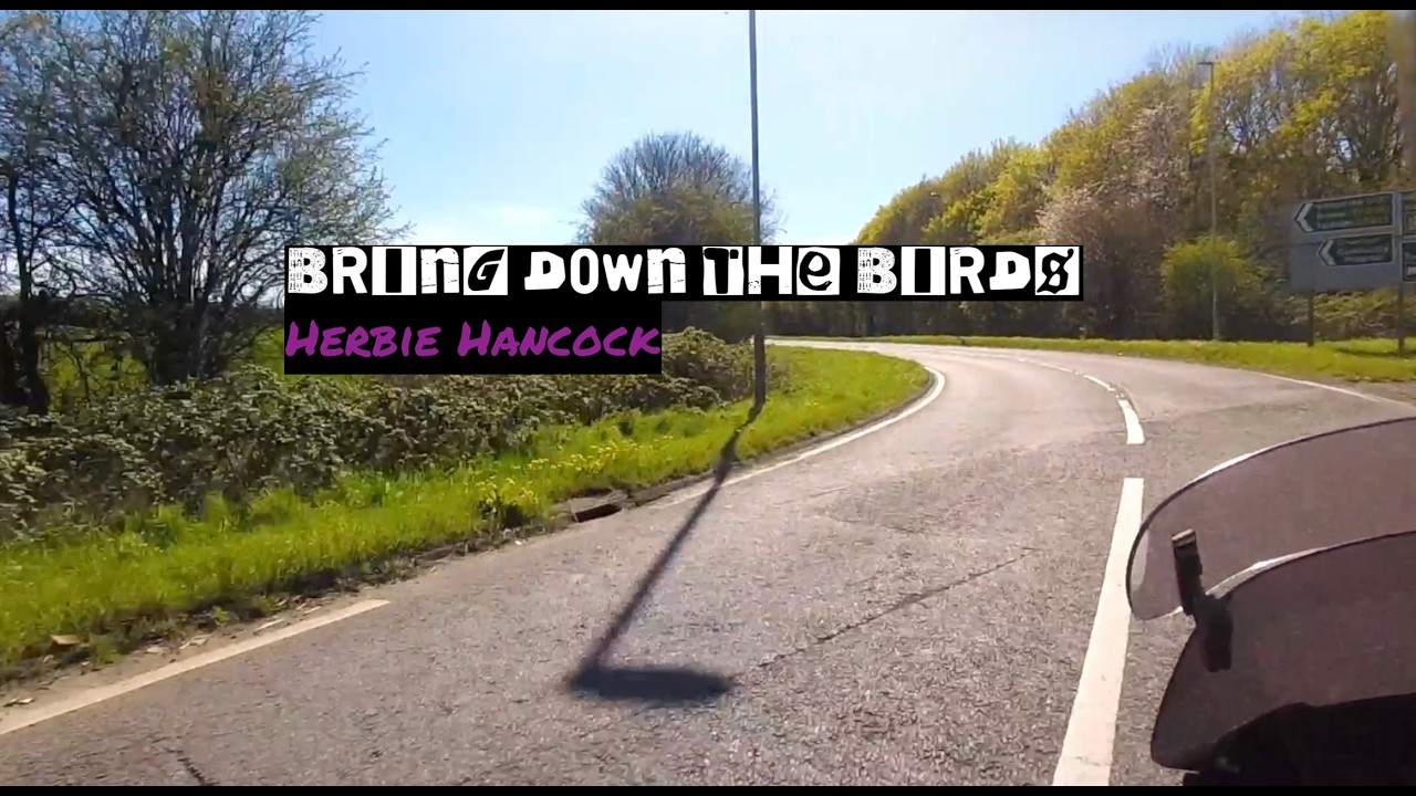 Single Track UK: Herbie Hancock - Bring Down The Birds - YouTube