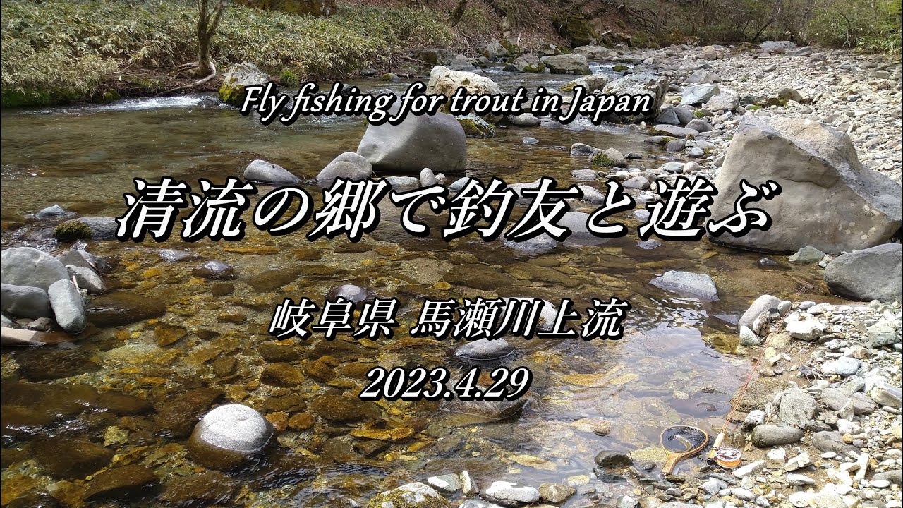 僕は美しい流れと渓魚の虜だ！ 馬瀬川のフライフィッシングが面白い～ (^^♪ 【 フライフィッシグ 岐阜県 馬瀬川上流漁協 】