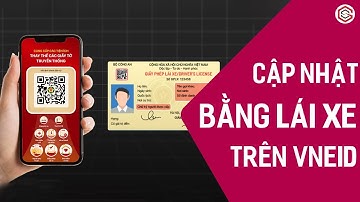 Hướng Dẫn Cập Nhật Thêm Giấy Phép Lái Xe Trên VNeID | Thêm Bằng Lái Xe Vào VNeID