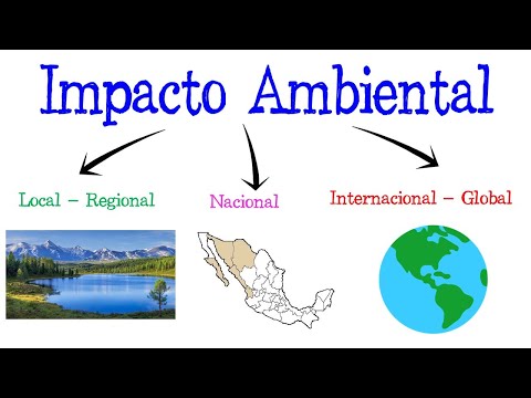 Video: Ambiente de impacto directo y ambiente de impacto indirecto: características, factores y métodos