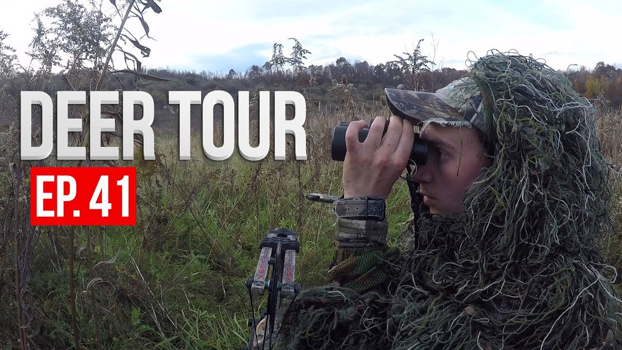 CRUISING BUCKS! Ohio Public Land DEER TOUR E41 YouTube