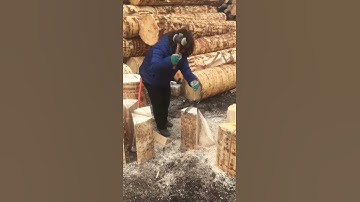 Thumbnail of Val di Fiemme violinmaking  moonwood violinmaker Katharina Abbuehl Cremona Violins