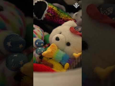 Todo peluche tiene un destino, todo destino tiene su historia 🥹🌍🧸