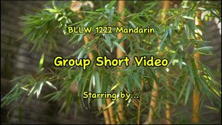 BLLW 1222 : Mandarin Group Assignment Video