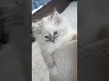 Toast is so fun to spend time with