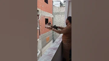 ٢٥ مارس ٢٠٢٢ 