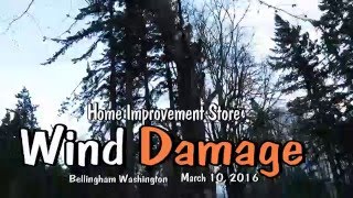 Wind Damage From Western Washington Wind Storms - Bellingham Wa by BellinghamsterTrail 816 views 8 years ago 2 minutes, 49 seconds