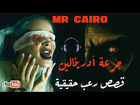 فيديو: مساعدة! لن يأكل أبو بريص!