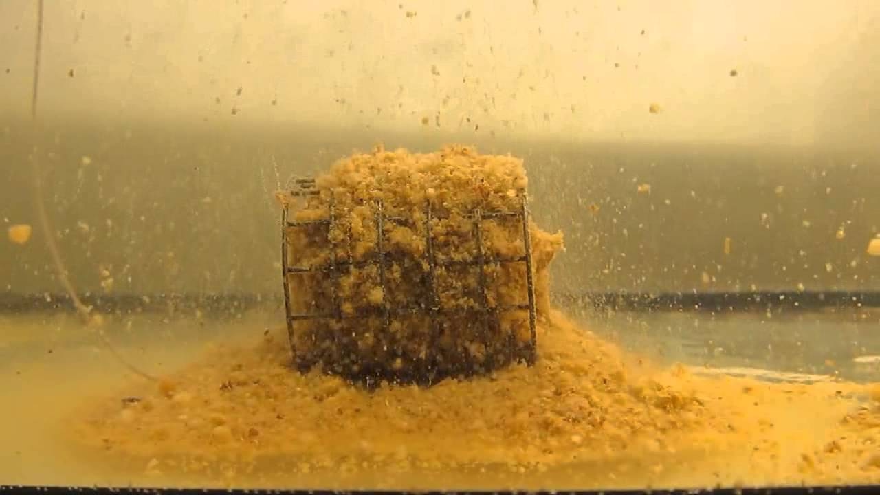 Marcel Van Den Eynde Big Fish