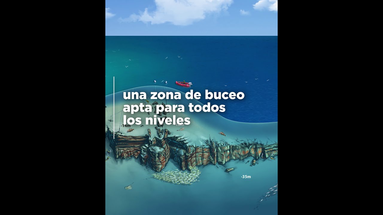 Bucear en Veril Grande | Fuerteventura