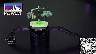 Drumless Raphiphop Backing Track Trap Instrumental Without Drums At 126 Bpm