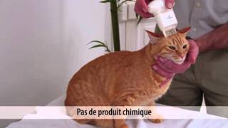 eyenimal electronic flea comb