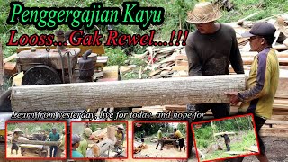 Proses Penggergajian Kayu Yang Banyak sampek mblenger wongnya