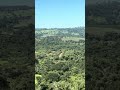 COMO A DEPENDÊNCIA PODE SER A BUSCA DA PAZ