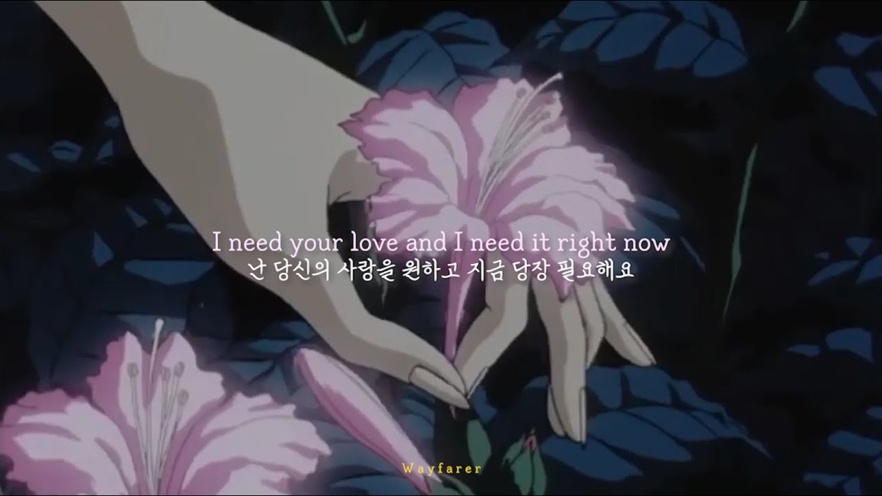 🌸 Shady MOON Cherry blossoms (prod. CrashBandit) 가사/번역/해석 YouTube