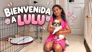 CONOZCAN A LULU, LA NUEVA MIEMBRO DE LA FAMILIA 🐶❤️
