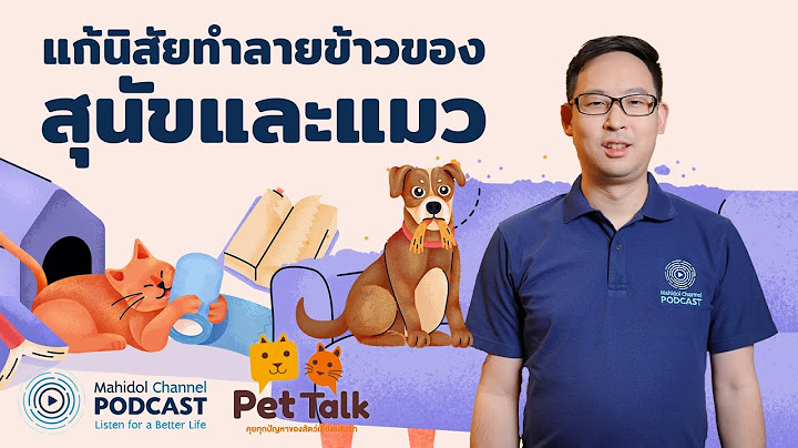 [PODCAST] Pet Talk | EP.6 - แก้นิสัยทำลายข้าวของ ของสุนัขและแมว