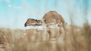 أفلا ينظرون إلى الإبل كيف خلقت. سورة الغاشية