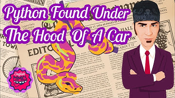 𝐑𝐄𝐀𝐋 𝐋𝐈𝐅𝐄 𝐍𝐄𝐖𝐒 𝐒𝐓𝐎𝐑𝐈𝐄𝐒: 𝙿𝚢𝚝𝚑𝚘𝚗 𝙵𝚘𝚞𝚗𝚍 𝚄𝚗𝚍𝚎𝚛 𝙷𝚘𝚘𝚍 𝚘𝚏 𝚊 𝙲𝚊𝚛 🐍