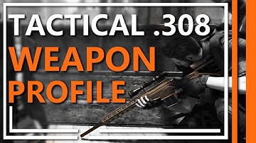 Tactical .308 | Title Update 12 Weapon Profile | The Division 2