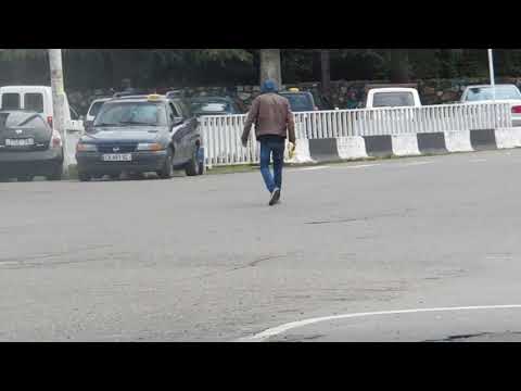 გადადი ზებრაზე !!!