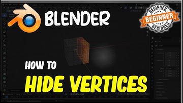 Blender How To Hide Vertices