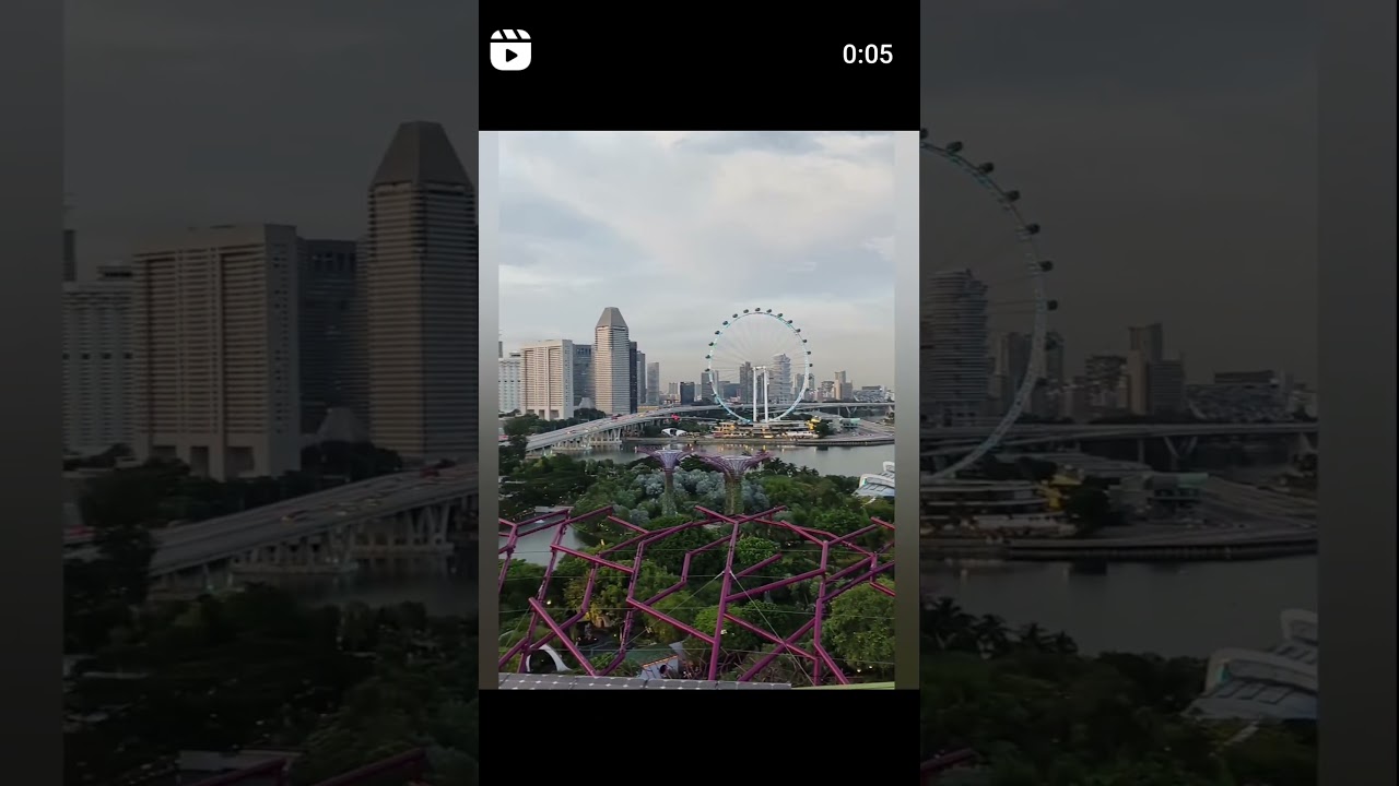 Garden By the Bay Supertree Observatory 