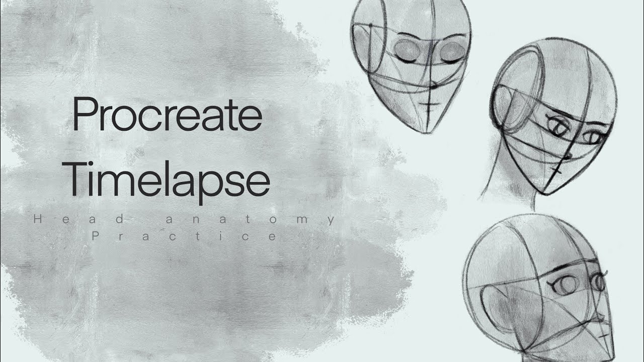 【anatomy practice】learning how to draw heads - YouTube