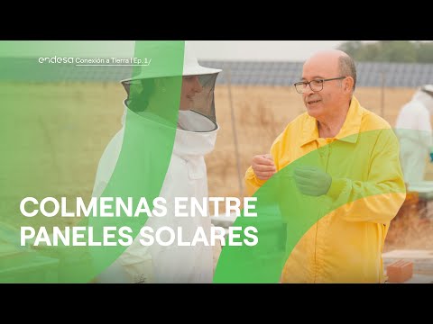 Conexión a Tierra | Ep.1 Abejas. Visitamos el apiario de la planta solar de Carmona (Sevilla)