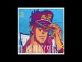 Jin Hashimoto - Star Platinum