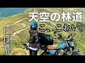 【四国絶景】こ、こわい。天空の林道。