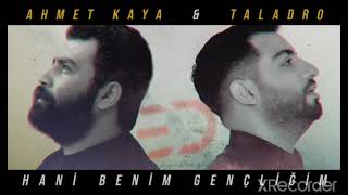 Ahmet Kaya & Taladro - Penceresiz Kaldım Anne