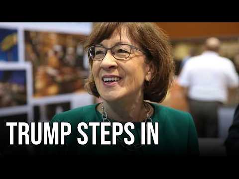 FBI Probe Closing In on Susan Collins — Then Trump Stepped In