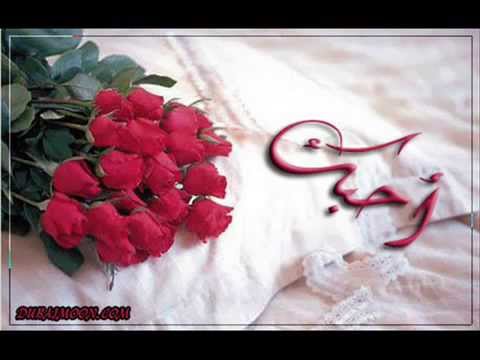 حامد زيد احبك ثم احبك كامله