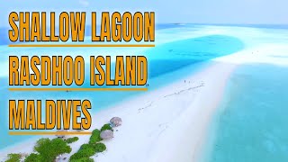 RASDHOO ISLAND MALDIVES/ SHALLOW LAGOON