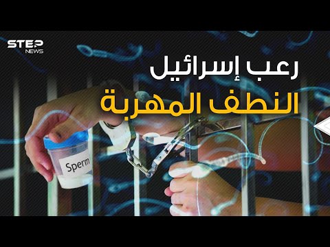 أرواح تولد من أشد الأماكن تحصينا في إسرائيل النطف المهربة لماذا يخشاها الإسرائيليون