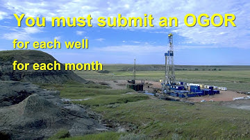 OGOR 01 Basic OGOR Report