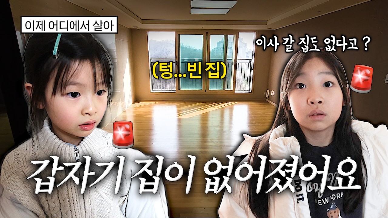 이사 한다고 짐을 다 뺐는데, 이사 갈 집이 없어요.. 사다리차 아저씨는 싸워서 안 오시고..💦 우여곡절 이삿날 ! (ft. 집에 오신 마지막 손님..!?)