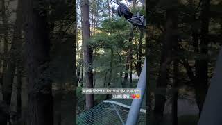 지산유원지 영상