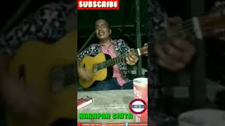Lagu Harapan Cinta anie Carera Dinyanyikan Borohim Harahap  Versi Gitar Akustik
