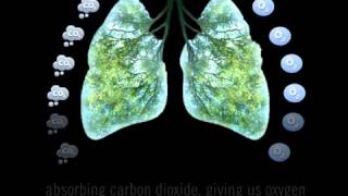 Innoventum Team 1 Movie