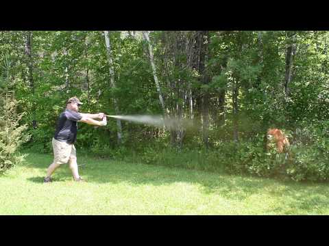Video: Cum Se Folosește Bear Spray
